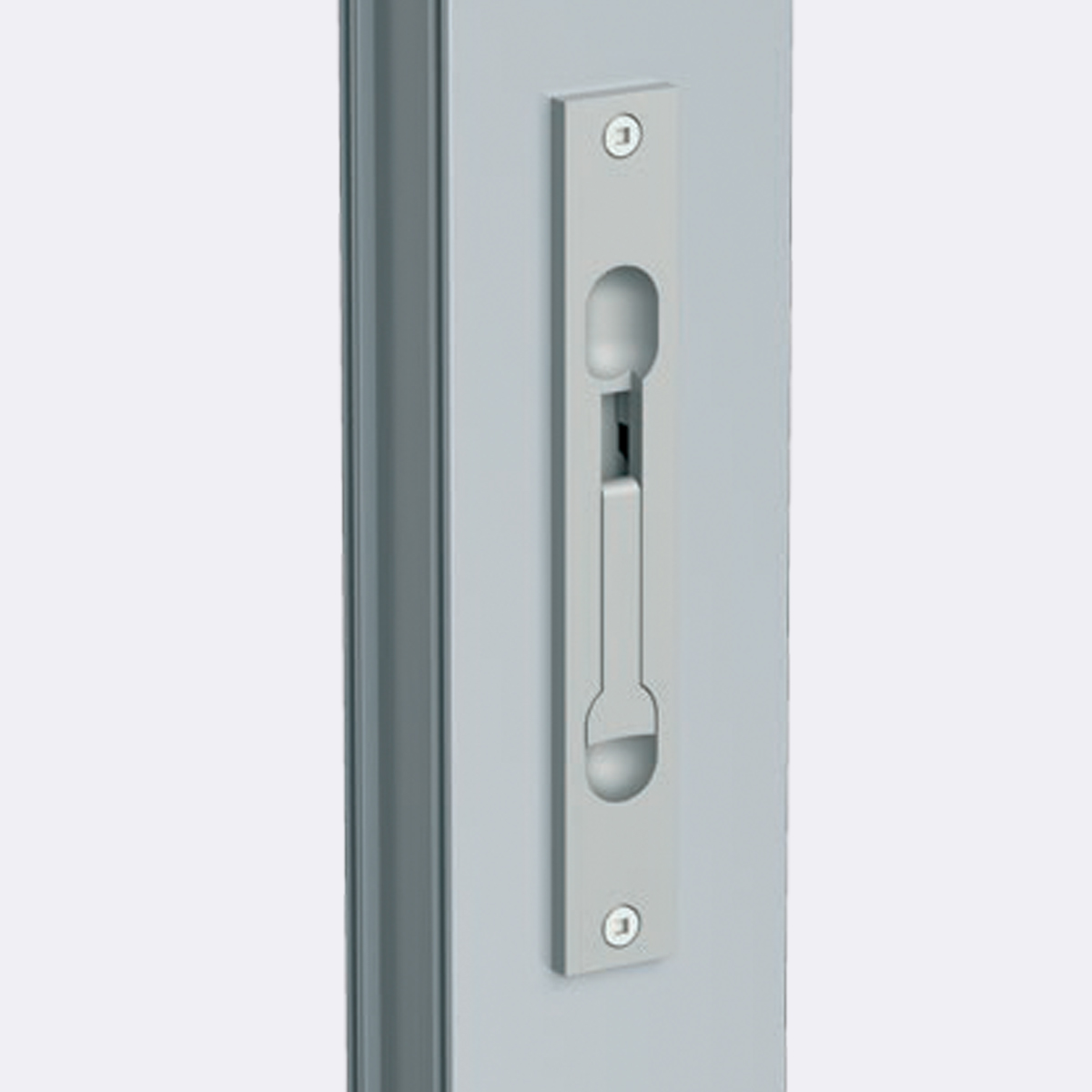Flush Bolts